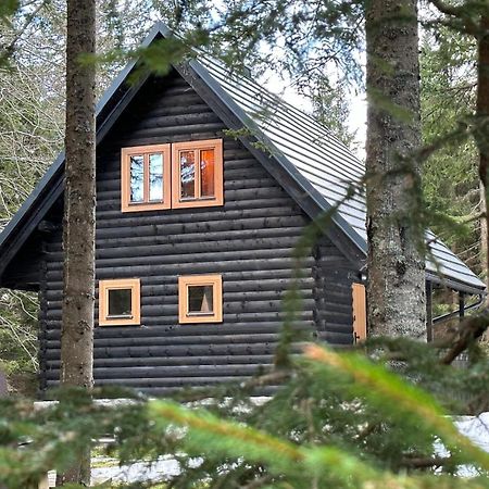 Cosy Lodge Pokljuka Goreljek Exterior photo