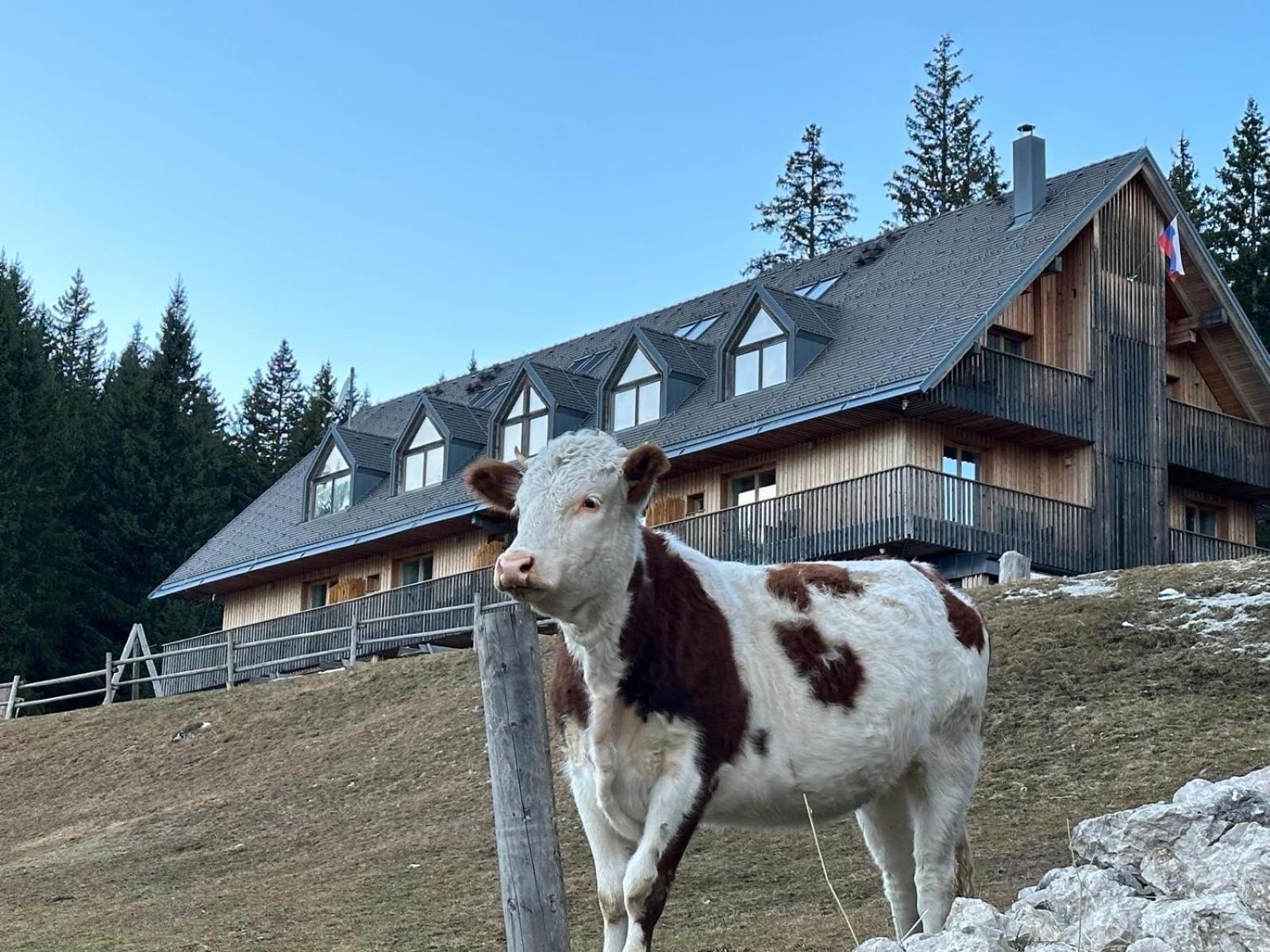 Cosy Lodge Pokljuka Goreljek Exterior photo